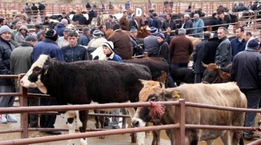 Nevşehir Hayvan Pazarı ge&ccedil;ici olarak kapatıldı