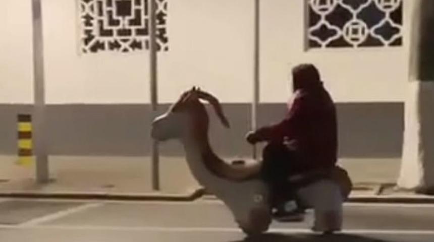 Trafikte böyle görüntülendi! O anlar sosyal medyada viral oldu