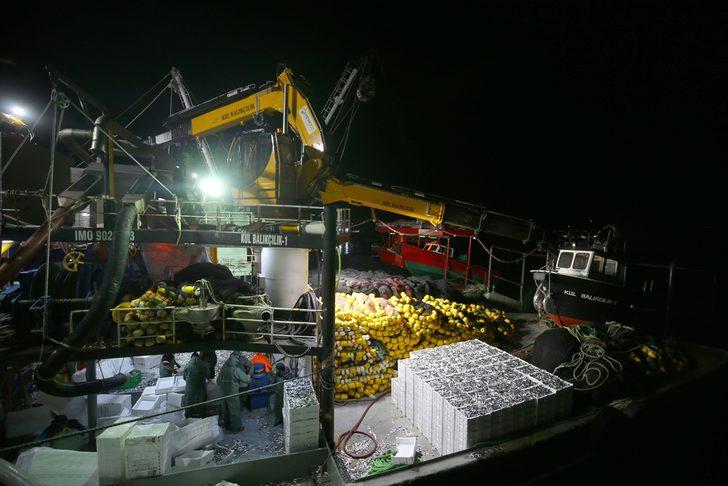 Yasaklı alan dışında kalan İğneada'da 250 tekne hamsi peşinde G4