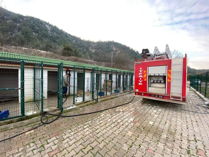 Osmaneli Belediyesi Hayvan Barınağı destek bekliyor G3