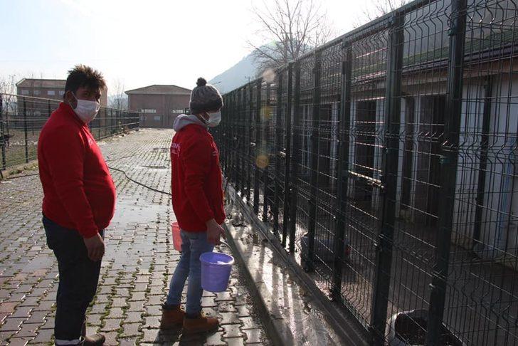 Osmaneli Belediyesi Hayvan Barınağı destek bekliyor G4