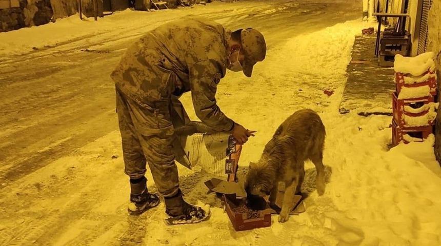 Jandarma sokak hayvanları i&ccedil;in doğaya yem bıraktı