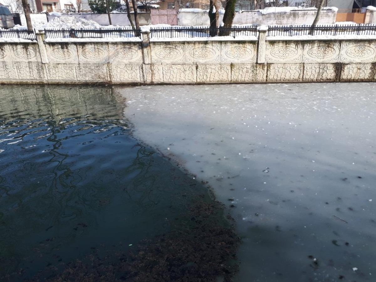 Hendek il&ccedil;esindeki Uludere &Ccedil;ayı buz tuttu