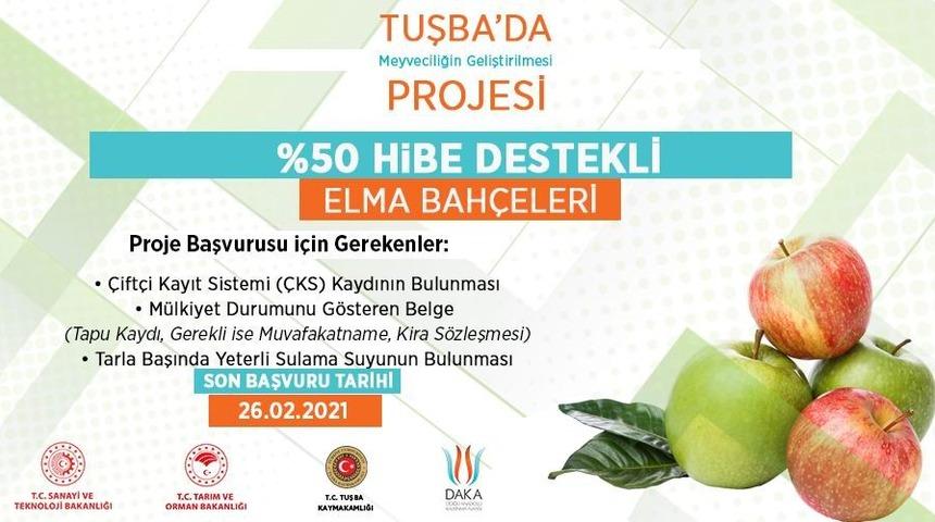 DAP ve DAKA&rsquo;dan elma bah&ccedil;elerine y&uuml;zde 50 hibe desteği