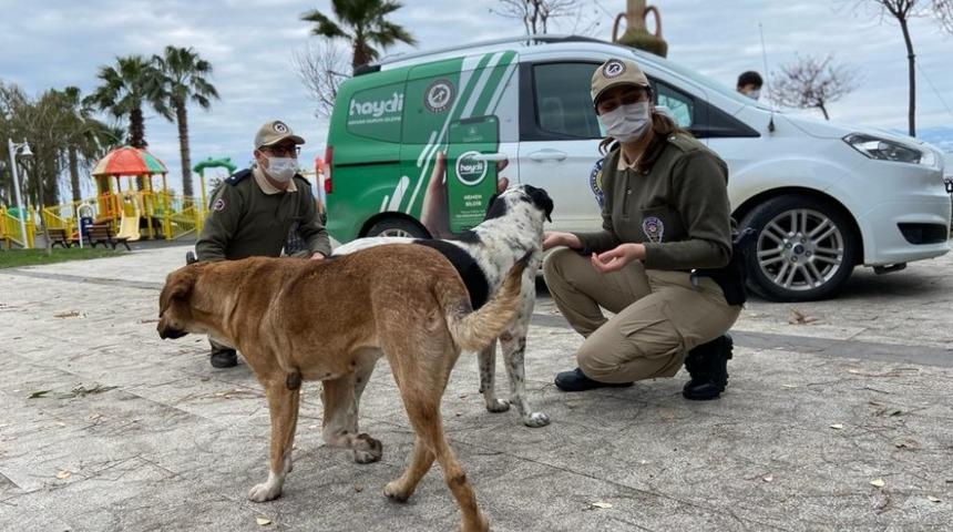 Sinop’ta HAYDİ polisleri göreve başladı