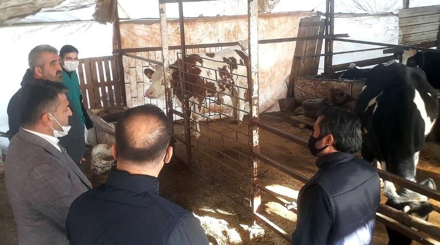 Demre&rsquo;deki besicilerin ihtiya&ccedil;ları belirlendi