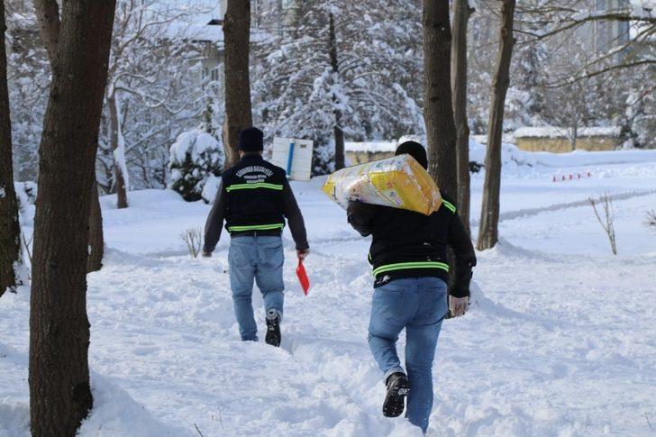 Serdivan Belediyesi, sokak hayvanlarını yalnız bırakmıyor G4