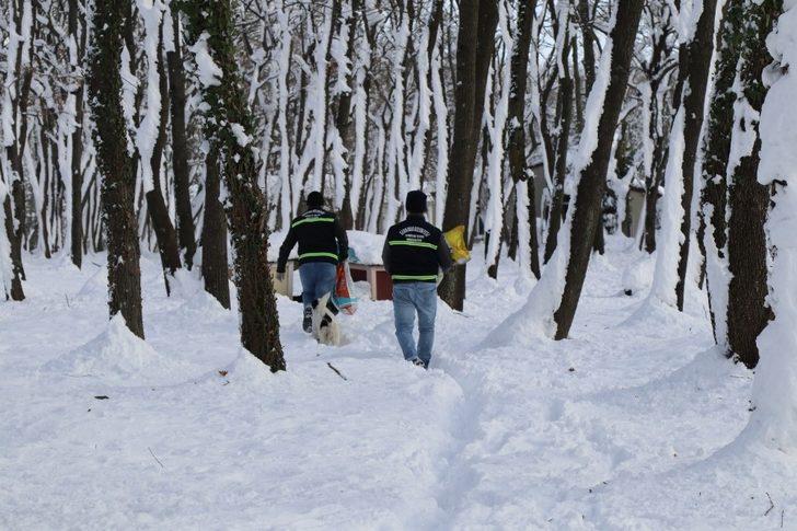 Serdivan Belediyesi, sokak hayvanlarını yalnız bırakmıyor G5