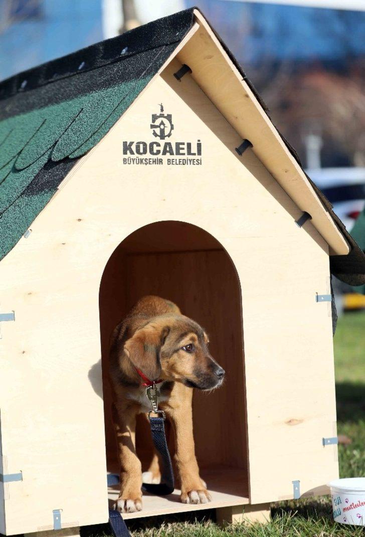 ’Pişmaniye’ ve ’Simit’ yeni yuvalarında G4