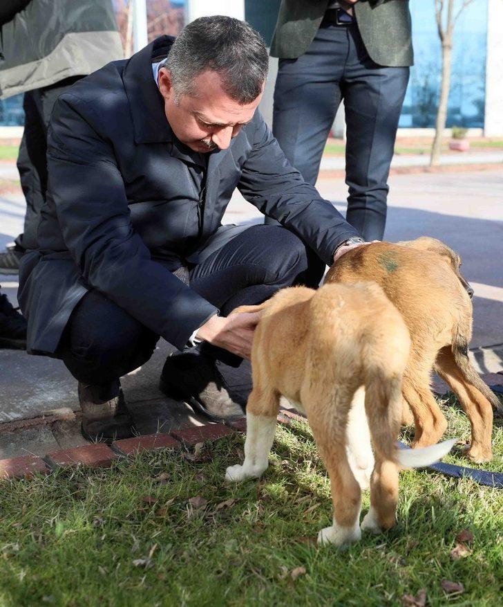 ’Pişmaniye’ ve ’Simit’ yeni yuvalarında G5