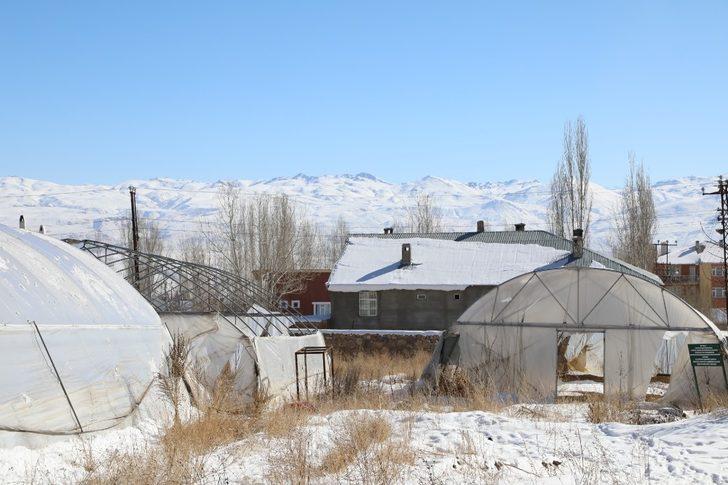 Başkale’de seracılık dönemi G4