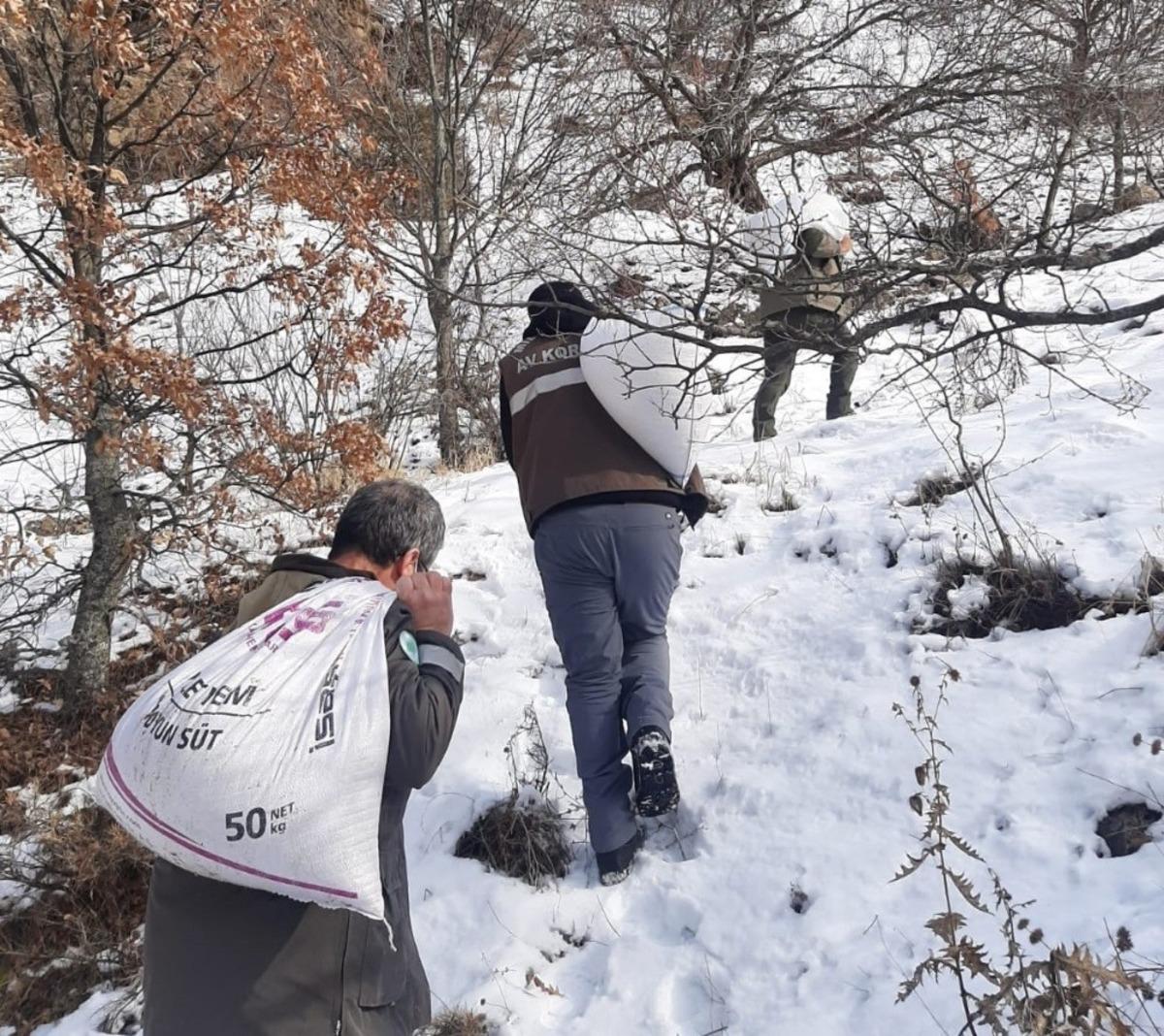 Tunceli&rsquo;de yaban hayvanları i&ccedil;in doğaya 6 ton yem bırakıldı