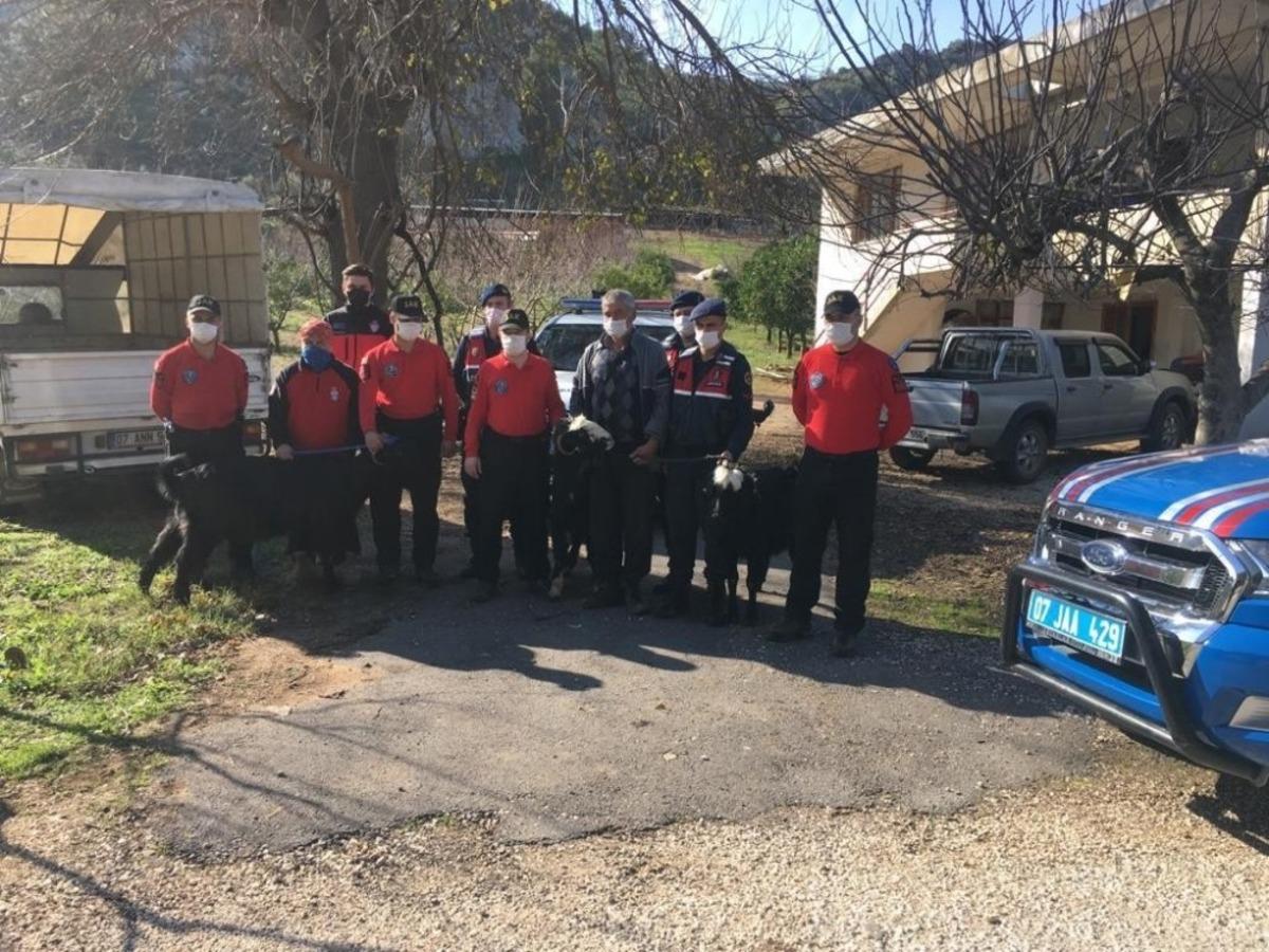 U&ccedil;urum kenarında mahsur kalan ke&ccedil;ileri jandarma kurtardı