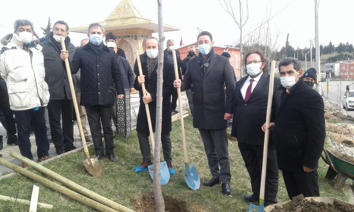 &Ccedil;evreci Muhtar&rsquo;dan ağa&ccedil; dikim etkinliği