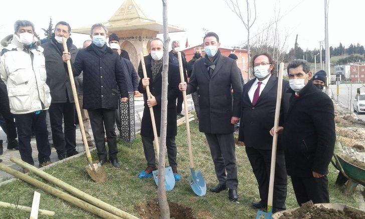 Çevreci Muhtar’dan ağaç dikim etkinliği G1