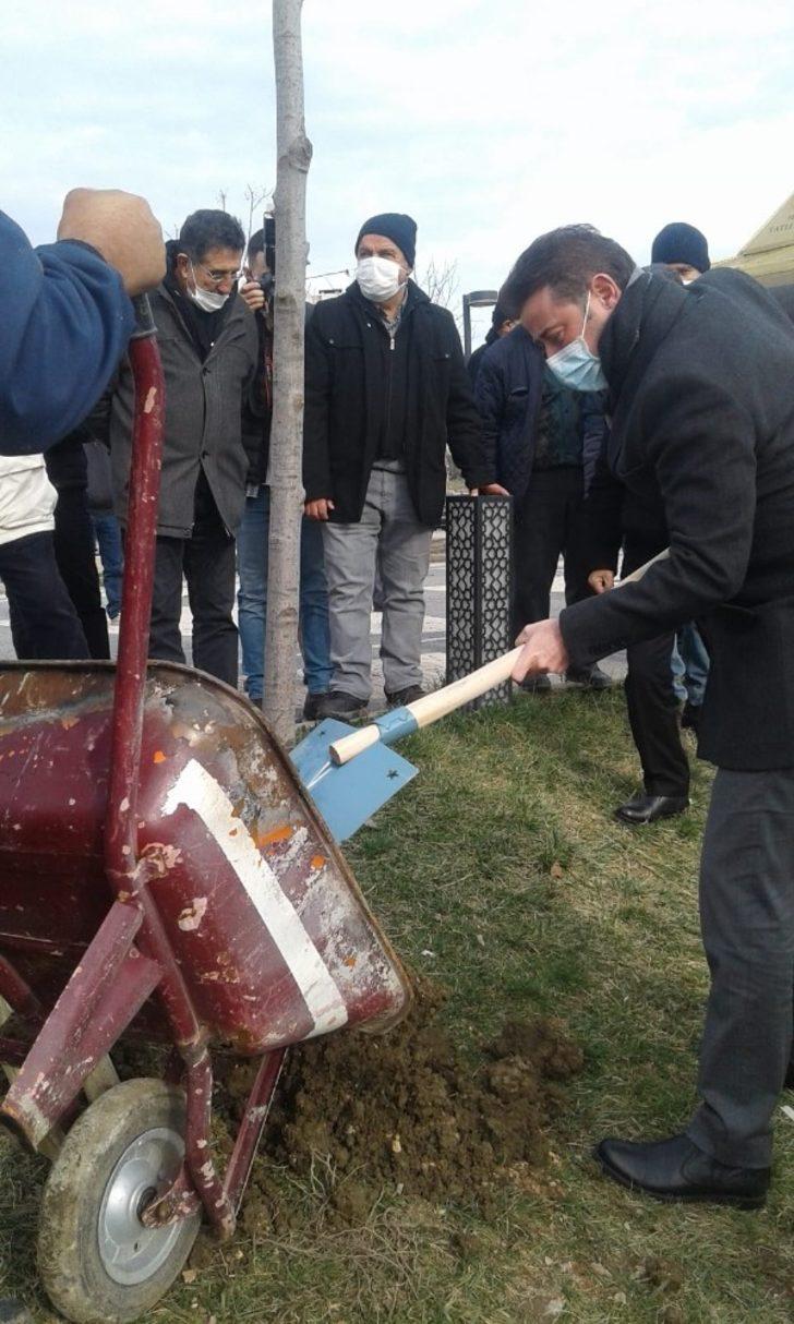 Çevreci Muhtar’dan ağaç dikim etkinliği G2