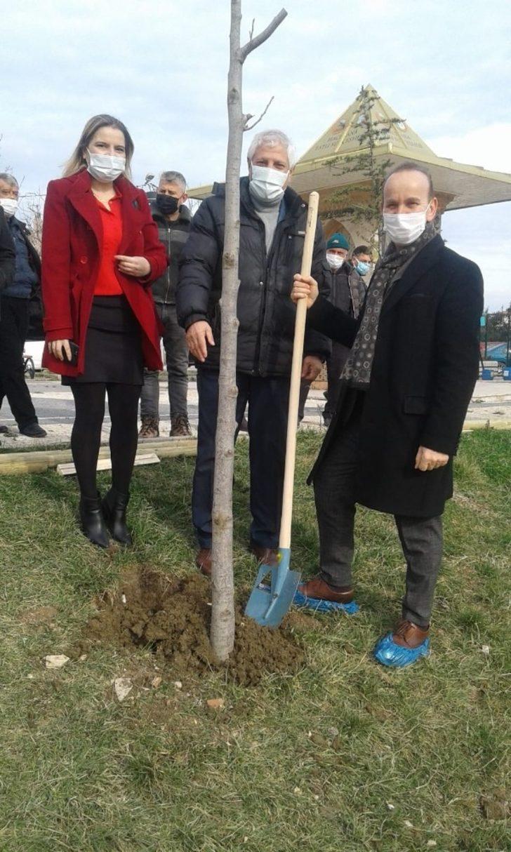 Çevreci Muhtar’dan ağaç dikim etkinliği G3