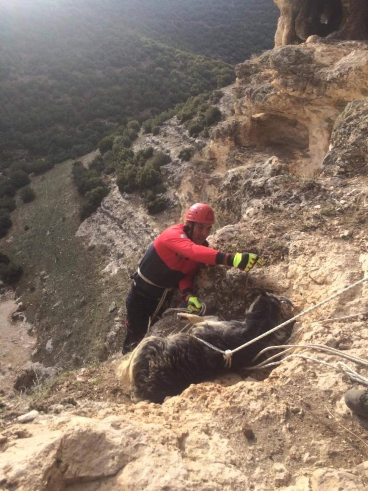 Yama&ccedil;ta mahsur kalan ke&ccedil;ilerin yardımına itfaiye koştu