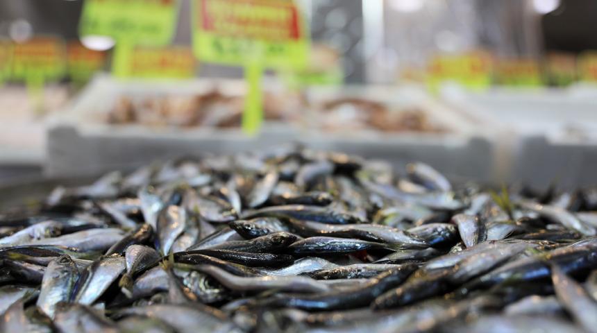 Vatandaşa kötü haber: Ucuz balık beklemesinler