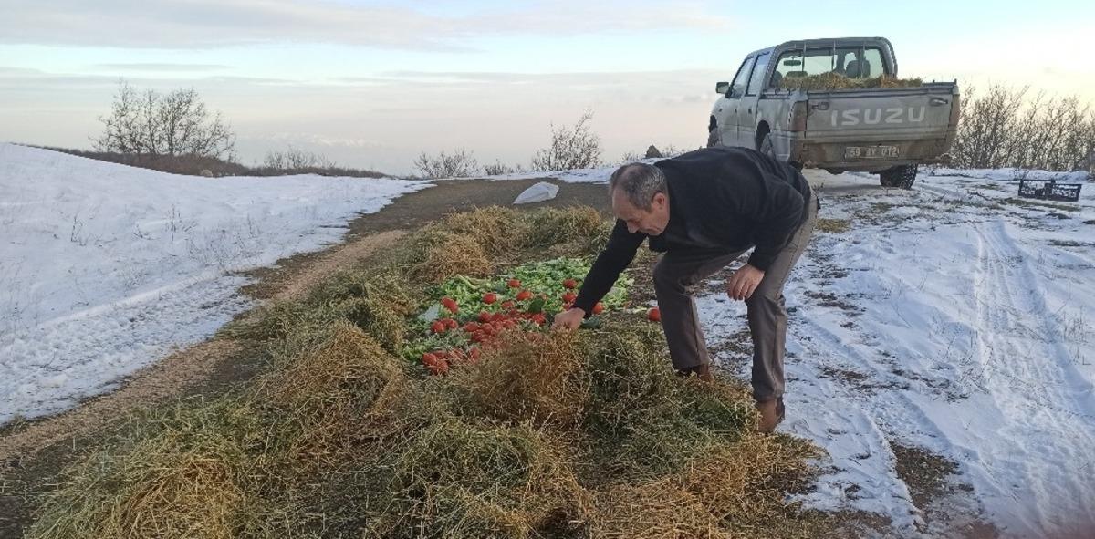 Tekirdağ&rsquo;da yaban hayatına 1 bu&ccedil;uk ton yem bırakıldı