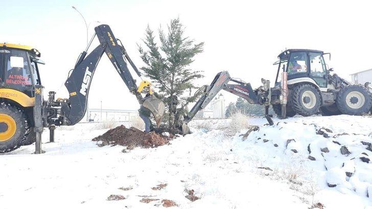 Altıntaş’ta ağaçlandırma çalışmaları aralıksız devam ediyor G1