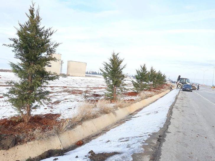 Altıntaş’ta ağaçlandırma çalışmaları aralıksız devam ediyor G3