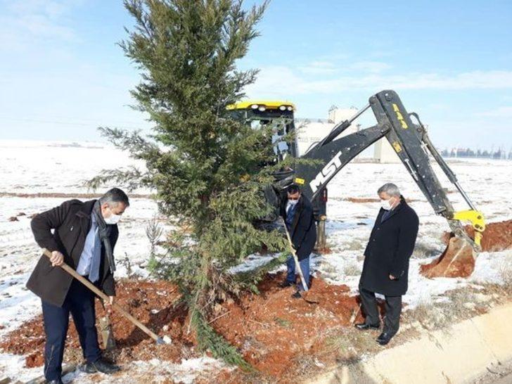 Altıntaş’ta ağaçlandırma çalışmaları aralıksız devam ediyor G5