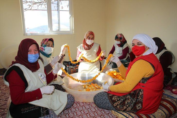 Parklardaki  turunçlar sofralara lezzet, ekonomiye değer katacak G3