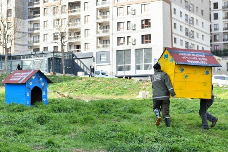 Geri dönüşümden sokak hayvanlarına yuva G2