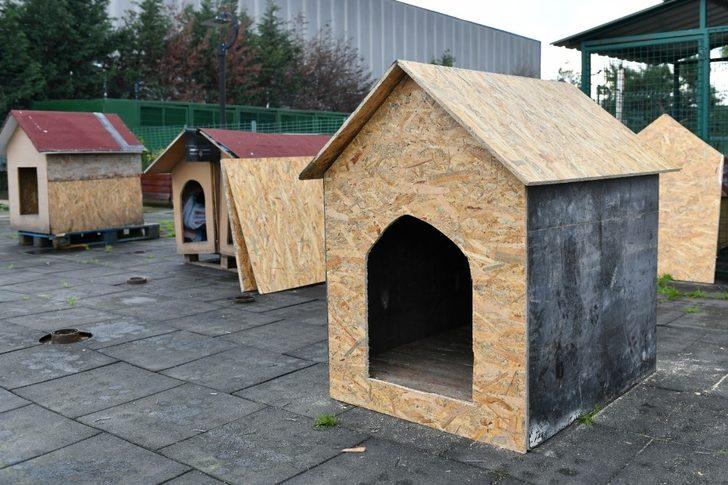 Geri dönüşümden sokak hayvanlarına yuva G3