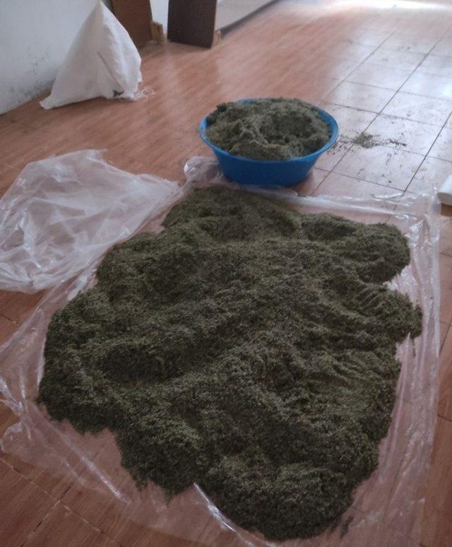 Gaziantep’te 25 kilo bonzai ele geçirildi 1