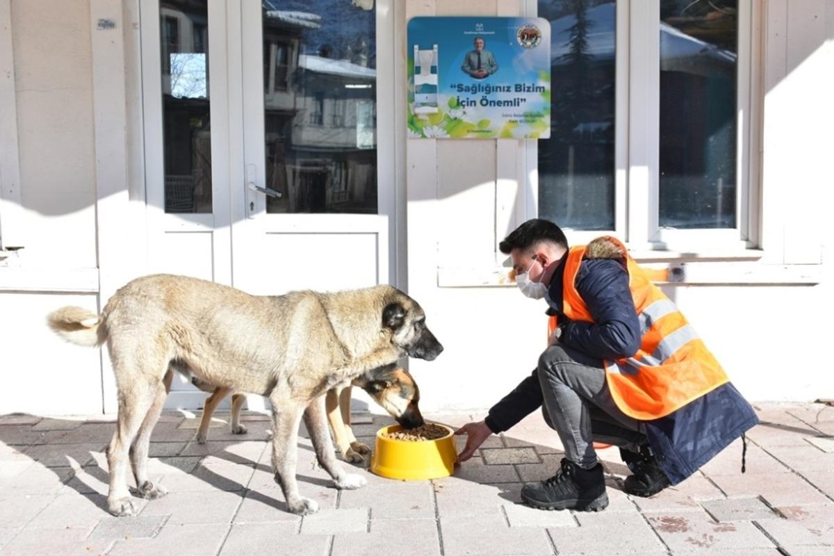 İn&ouml;n&uuml; Belediyesi sokak hayvanlarına mama ve sevgi desteğini s&uuml;rd&uuml;r&uuml;yor