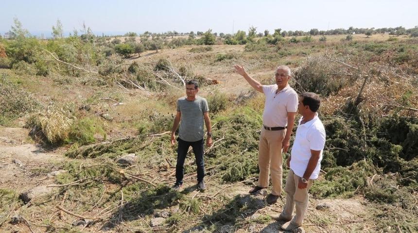 Tarhan: "Doğa katliamına izin vermeyeceğiz"