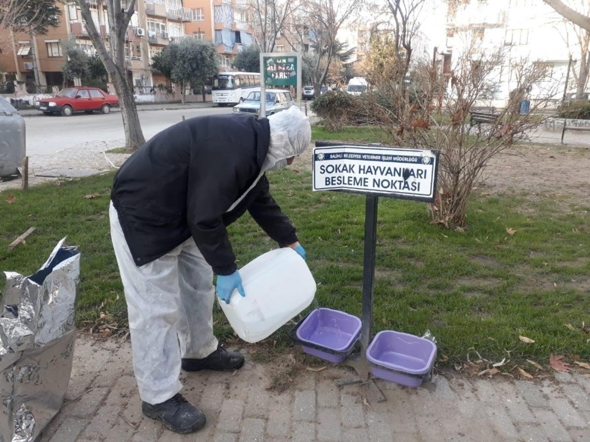 Salihli&rsquo;de sokak hayvanlarına mama desteği