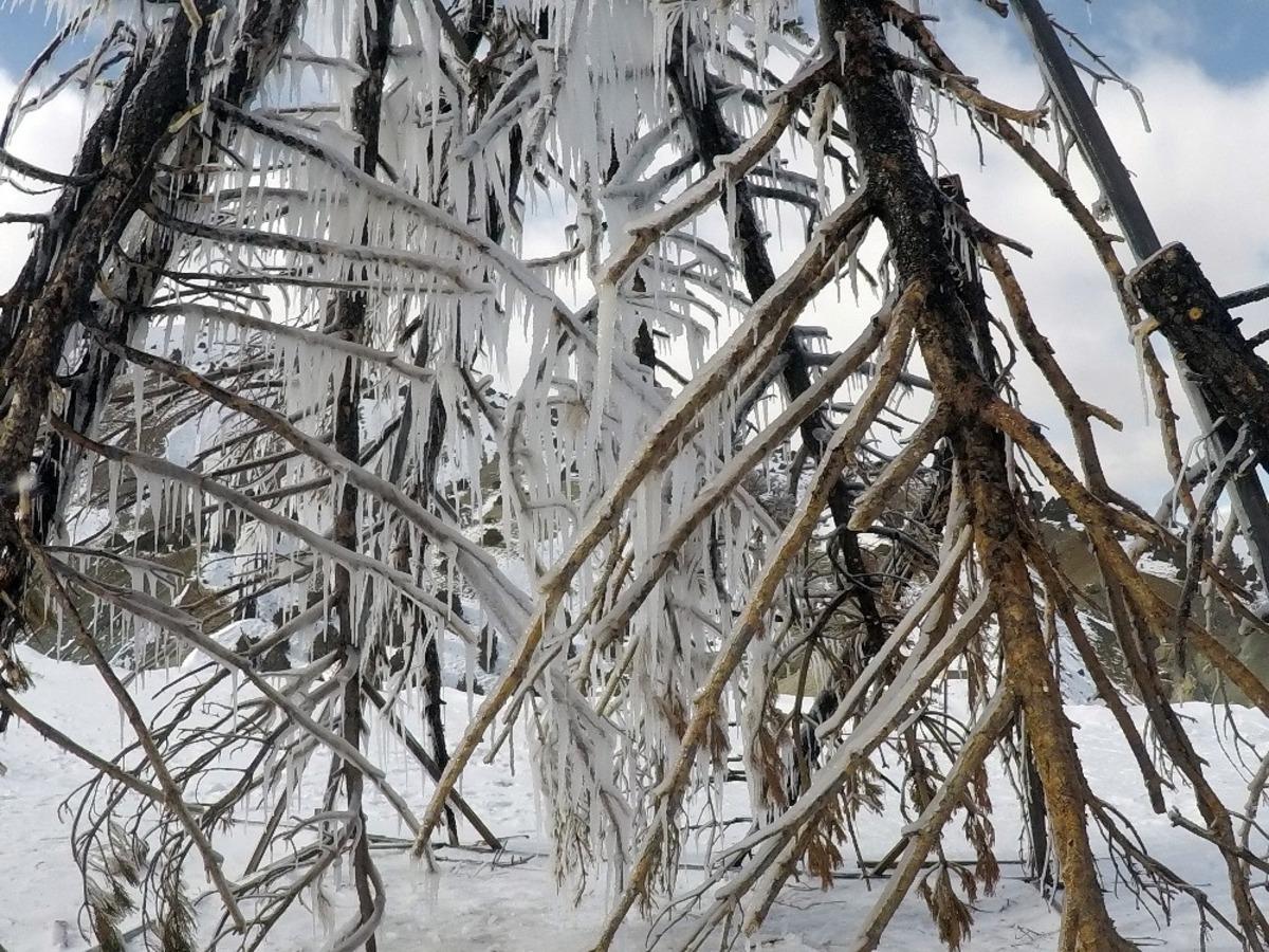 Profes&ouml;rden buz gibi sanat