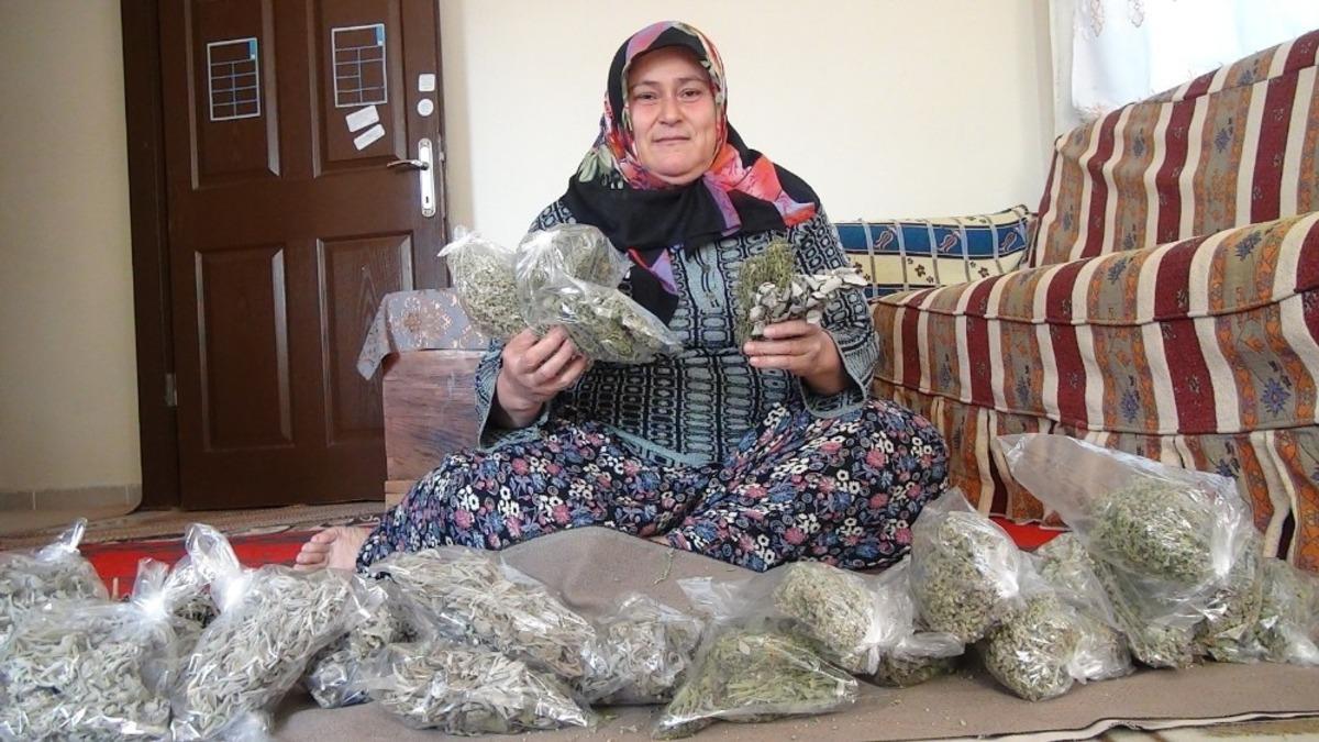 Ge&ccedil;imini dağlarda yetişen otlardan sağlıyor