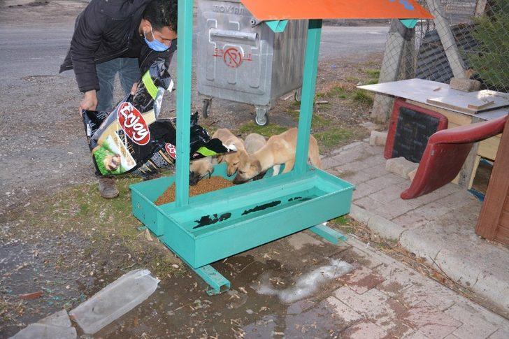 Ergani Belediyesi sokak hayvanlarını unutmadı G1