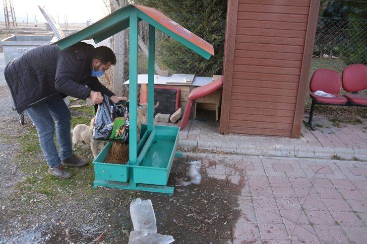 Ergani Belediyesi sokak hayvanlarını unutmadı G2