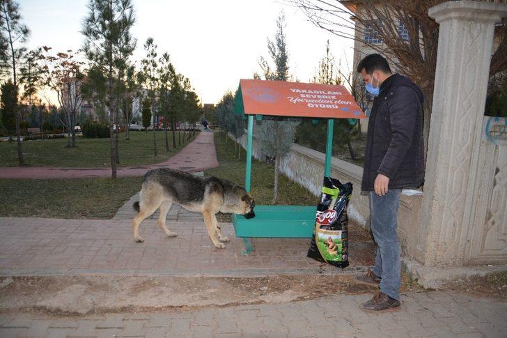 Ergani Belediyesi sokak hayvanlarını unutmadı G3