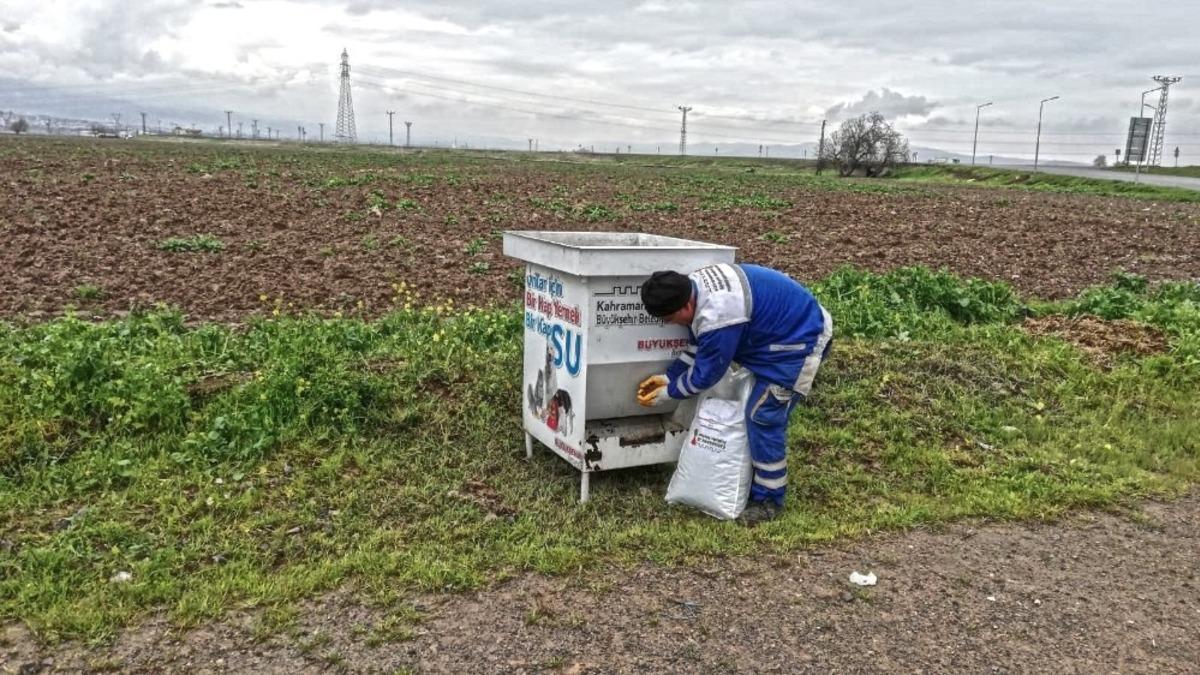 Kahramanmaraş&rsquo;ta sokak hayvanlarına mama