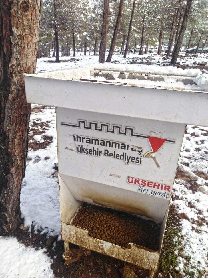 Kahramanmaraş’ta sokak hayvanlarına mama G3