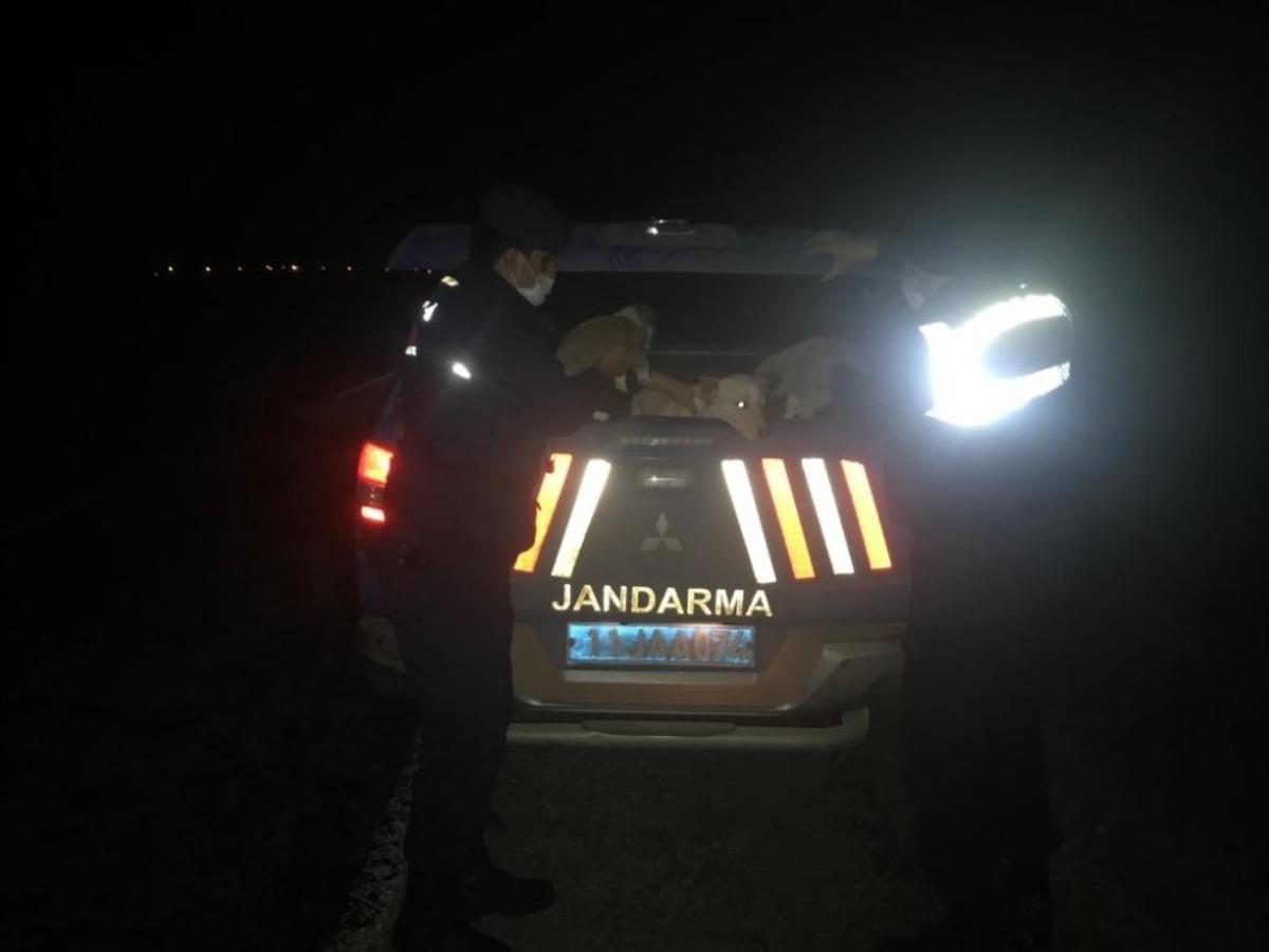 Jandarma ekipleri yol kenarında buldukları ağzı kapalı &ccedil;uvalın i&ccedil;ini a&ccedil;ınca şok oldular