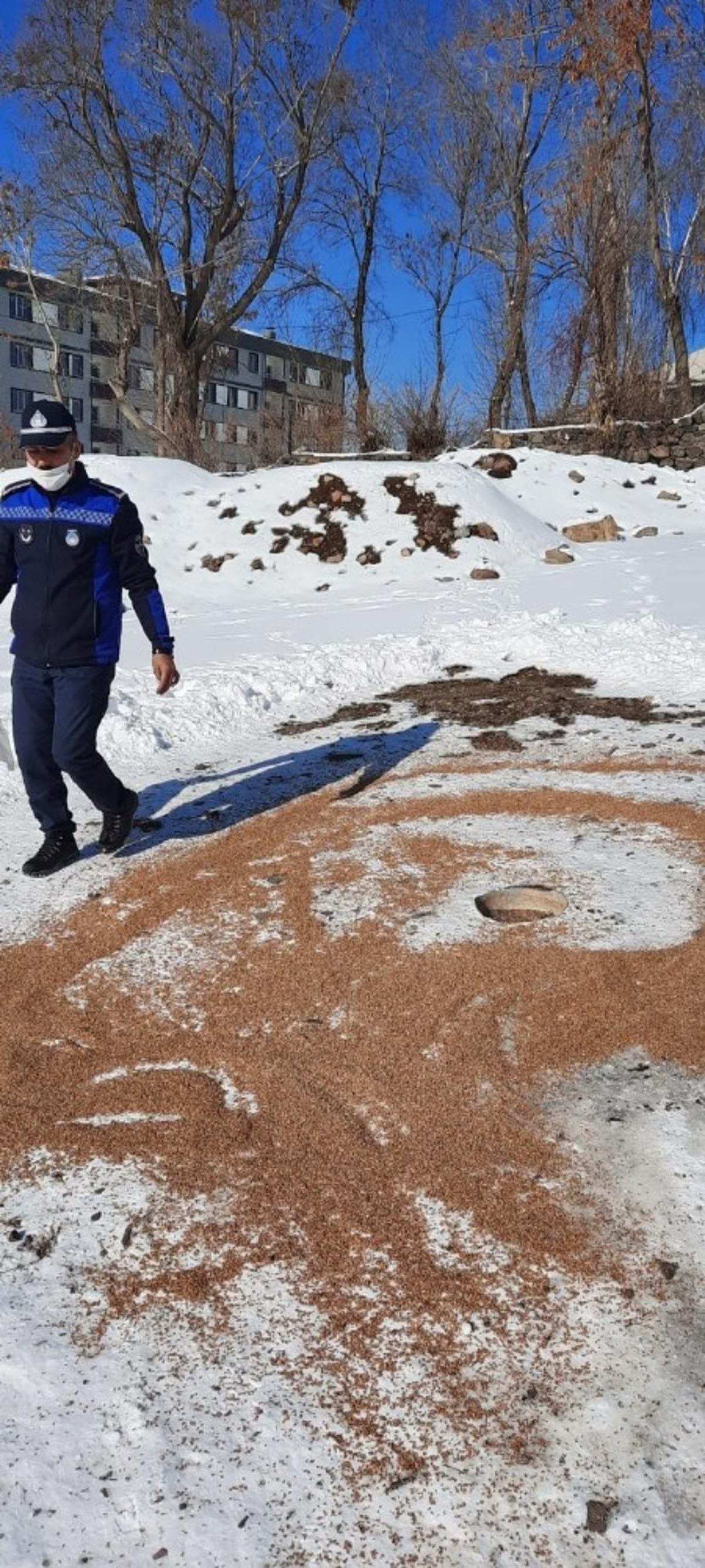 Zabıta ekipleri doğaya kuşlar i&ccedil;in yem bıraktı
