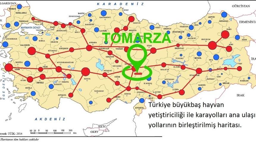 Tomarza i&ccedil;in Canlı Hayvan Pazarı Projesi