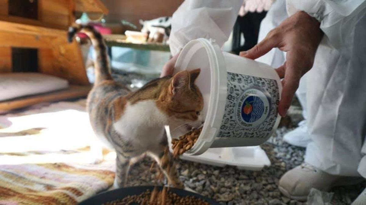 Mersin&rsquo;de kısıtlamada sokak hayvanları unutulmuyor