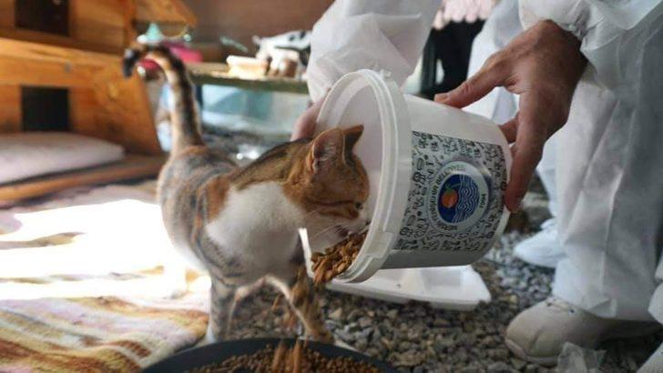 Mersin’de kısıtlamada sokak hayvanları unutulmuyor G1