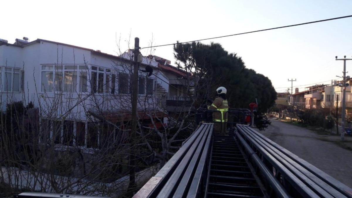 Mahsur kalan kediyi itfaiye kurtardı