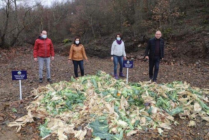 Bitkisel atıklar yaban hayvanlarına yem oldu G1