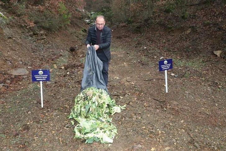 Bitkisel atıklar yaban hayvanlarına yem oldu G3