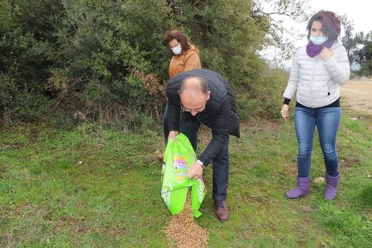 Bitkisel atıklar yaban hayvanlarına yem oldu G4